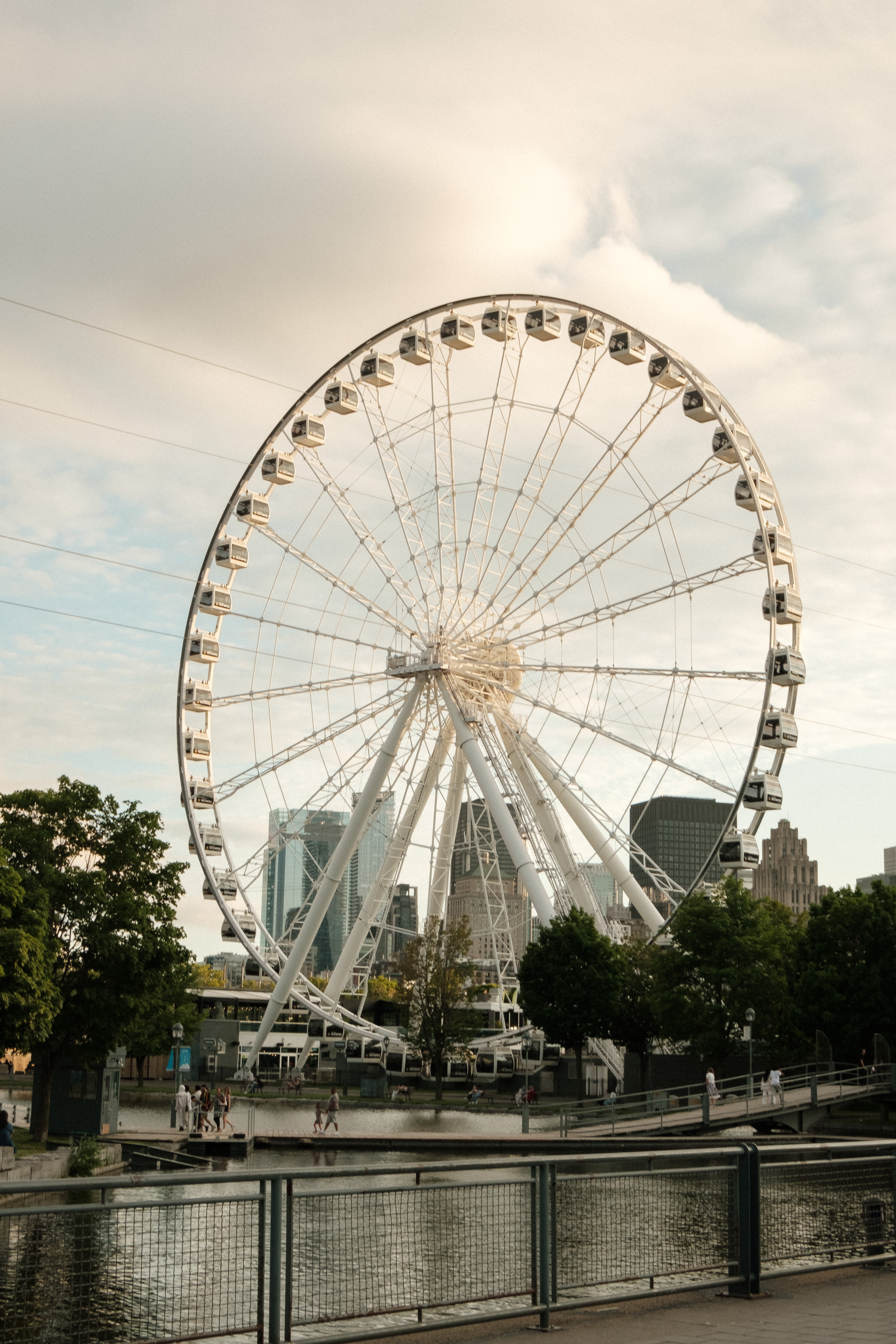 Large Ferris Wheel in City Park